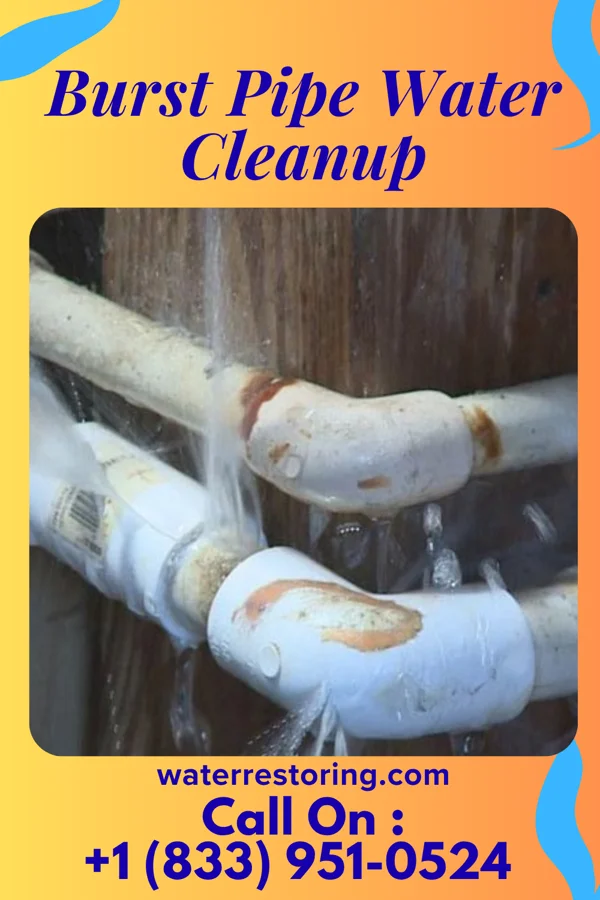 Burst Pipe Water Cleanup in Bar Nunn, WY